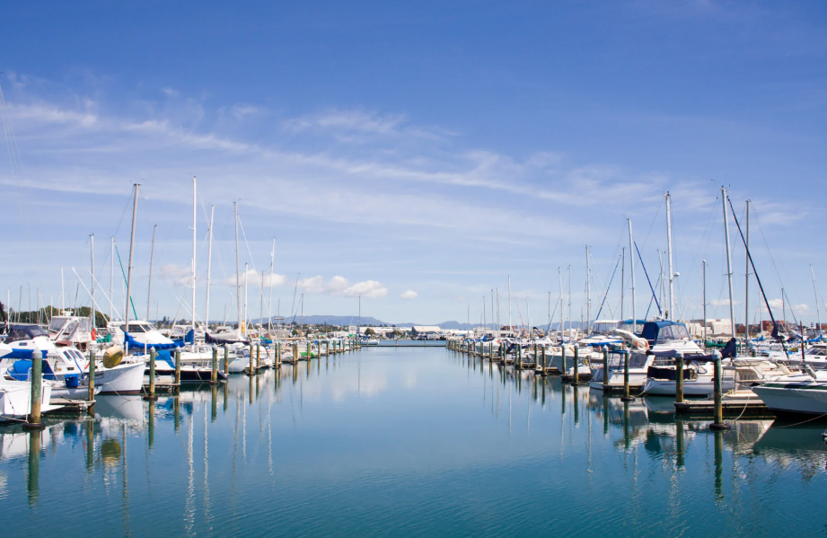 マリーナ　イメージ画像